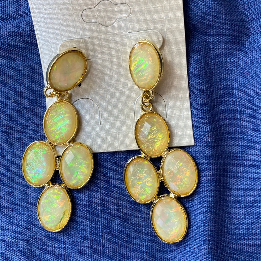 Brand New Fashion Earrings